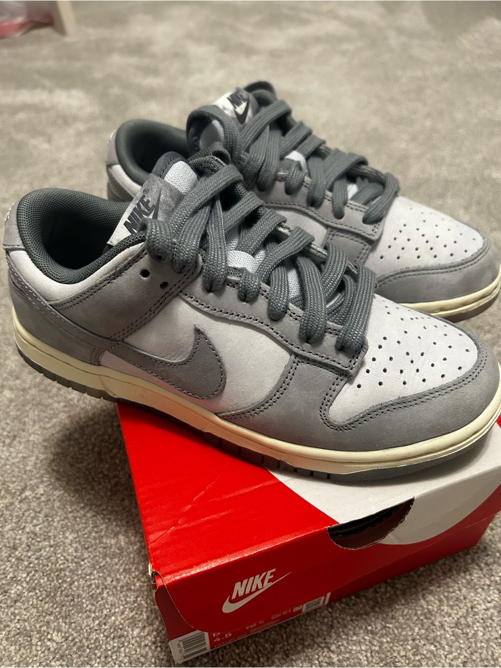 Nike Dunks Sneaker